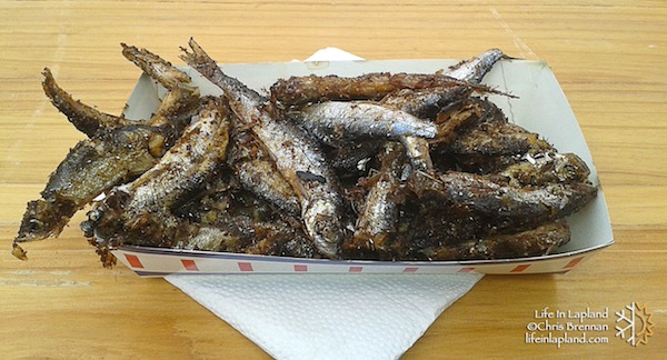 Eating Muikku in Finnish, Lapland / copyright www.lifeinlapland.com