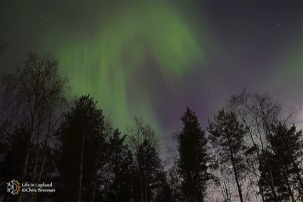 Auroras in Rovaniemi, Finland