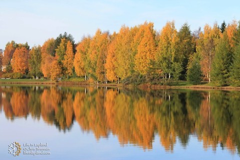 Autumn ruska in Lapland / www.lifeinlapland.com