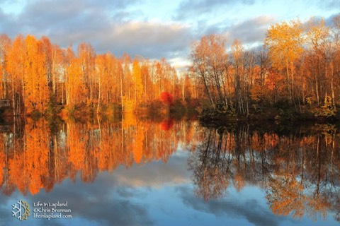 Autumn ruska in Lapland / www.lifeinlapland.com